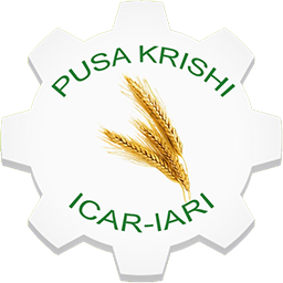 Pusa Krishi