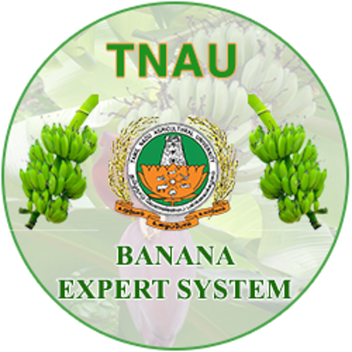 Banana Expert System