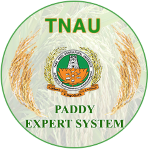Paddy Expert System