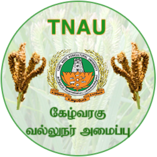 Ragi Expert System Tamil