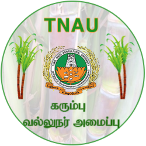 Sugarcane Expert System Tamil