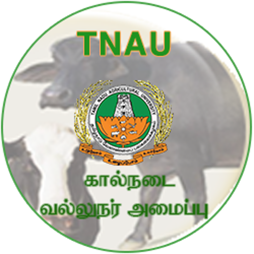 Cattle Expert System Tamil