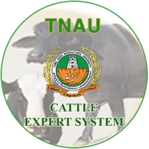 Cattle Expert System