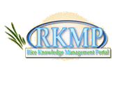 RKMP M-Learning