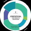 Statistical Year Book Rajastha