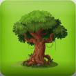 Bengaluru Tree Census