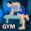 Gym Workout Daily Exercises